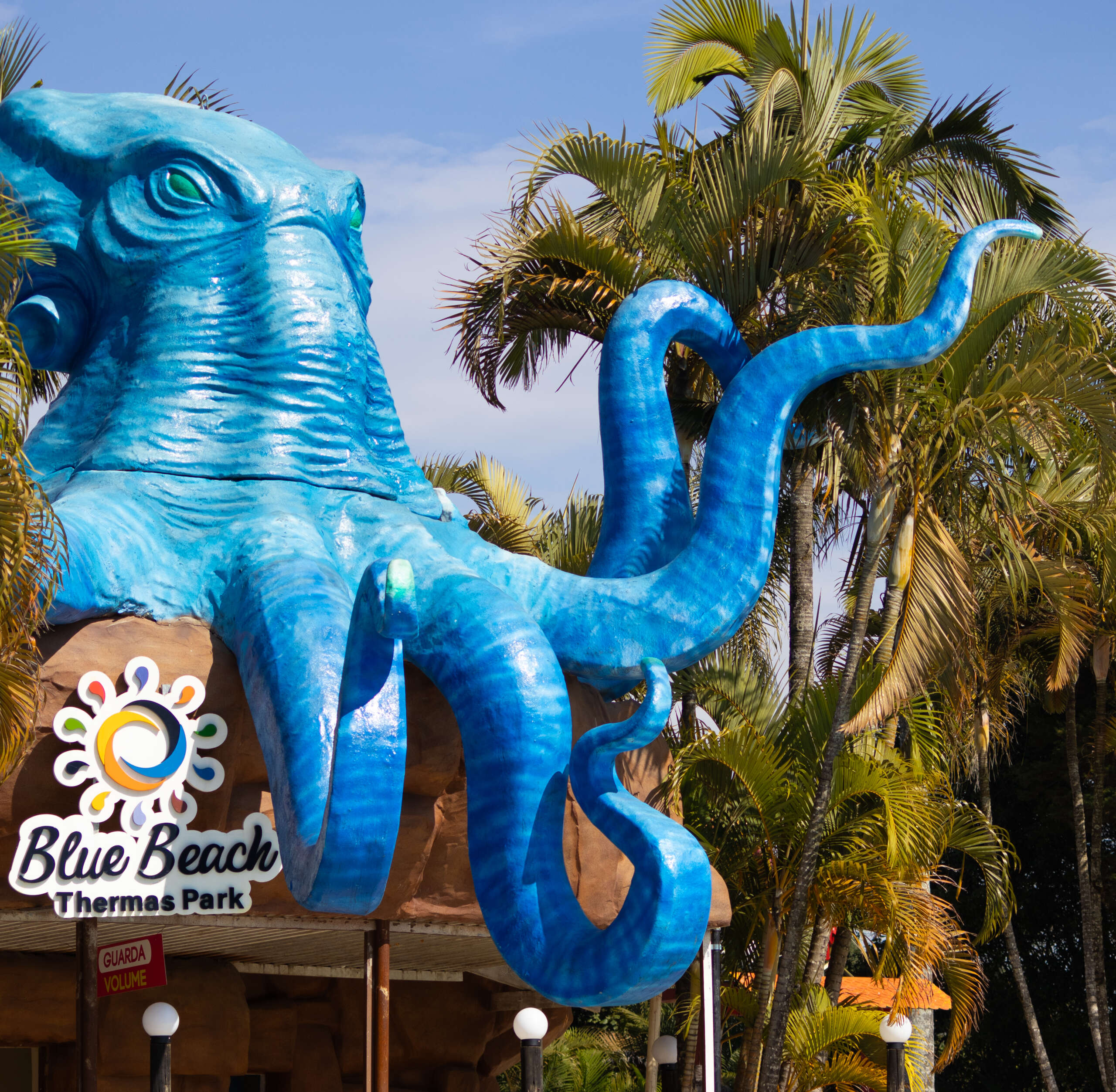 blue1.jpg